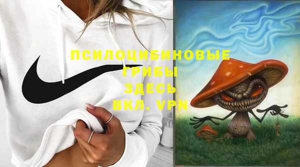 ALPHA PVP Белокуриха