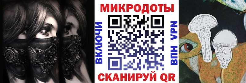 Галлюциногенные грибы Psilocybine cubensis  Красновишерск 